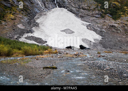 La parte inferiore del ghiacciaio Supphellebreen nel 2017, Jostedalsbreen National Park, Norvegia. Foto Stock