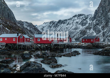 Nusfjord, Flakstad, Leknes, Lofoten; Norvegia; Europa; Foto Stock