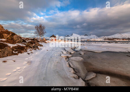 Bostad, Lofoten, Norvegia, Europa Foto Stock