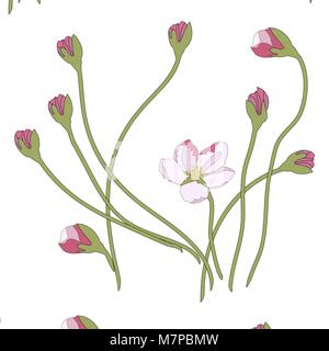 Rosa fiori di ciliegio sakura fiori in uno stile Giapponese Illustrazione Vettoriale