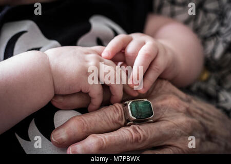 Il bambino e la nonna le mani, grande nonna, grande nipoti Foto Stock