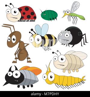 Vector carino bug e insetti isolati su sfondo bianco Illustrazione Vettoriale