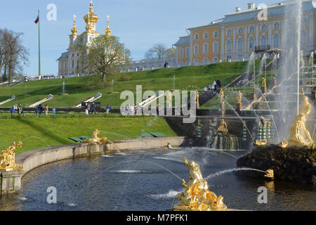 Peterhof, San Pietroburgo, Russia - 7 Maggio 2016: i turisti a piedi attorno al canale del mare e la grande cascata contro il Grand Palace. La cascata è stata buil Foto Stock