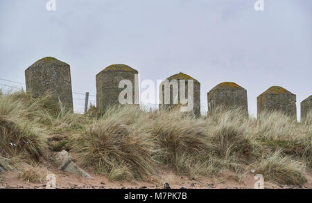 Una fila di calcestruzzo Anti-Tank difese giacciono sulla spiaggia superiore a Arbroath in Scozia in un freddo giorno di inverni. Foto Stock