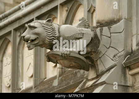 Un gargoyle su un edificio di Princeton NJ Foto Stock