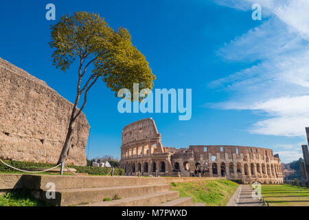 Colosseo come visto dal Colle Palatino in Roma, Italia Foto Stock