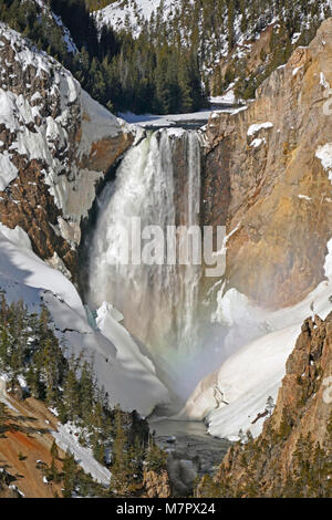 Le cascate Inferiori di Yellowstone River cascate inferiori di arcobaleno presi da Artist Point; Foto Stock