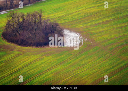Vista aerea di un cluster di alberi in un campi in inverno tra il paesaggio rurale della Bassa Slesia, Polonia
