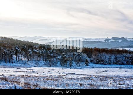 HIGGER TOR visto tra gli alberi a LONGSHAW Parco nazionale di Peak District Foto Stock