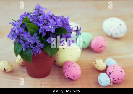 Le viole in una pentola di creta con colorate uova di Pasqua Foto Stock