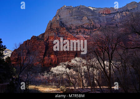 Parco Nazionale di Zion,Utah,USA Foto Stock