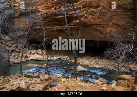 Parco Nazionale di Zion,Utah,USA Foto Stock