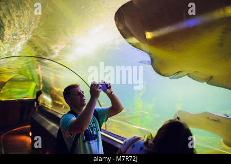 NHA TRANG,VIETNAM - FEBBRAIO 17,2018: un giovane uomo immagine un stingray pesce in un tunnel oceanarium estate Foto Stock