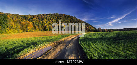 Il loess road tra campi Foto Stock