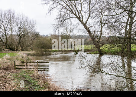 Il fiume Avon a Lacock, Wiltshire gonfiata dopo la neve si è sciolta Foto Stock