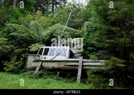 Un vecchio cabinato giace abbandonata ben al di sopra di l'acqua alta in linea Nydia Bay Marlborough Sounds. Esso è lentamente scomparendo nella boccola. Foto Stock