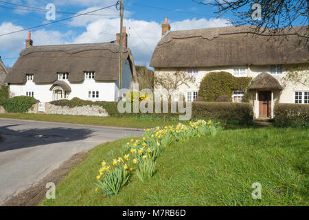 Incantevole cottage con il tetto di paglia e narcisi nel villaggio di Martin in Hampshire, Regno Unito Foto Stock