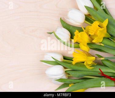 Sfondo colorato con fiori freschi Foto Stock