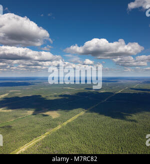 Vista aerea foresta pianura con linea di alimentazione Foto Stock