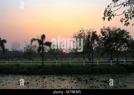 Tramonto alle Università di Kasetsart Foto Stock