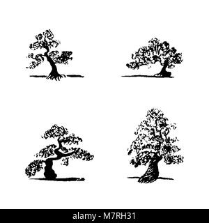 Set di disegno a mano disegna quattro alberi di bonsai su sfondo bianco. Nero di vettore di alberi di bonsai. Illustrazione Vettoriale