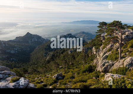 Bellissimo paesaggio del mattino presso i Puertos del Beceite con vento ad alberi in primo piano Foto Stock