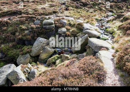 Blackden Brook Flowing su rocce e pietre dalla scorza Blackden sul bordo settentrionale della brughiera, Kinder Scout, Derbyshire, Peak District, England, Regno Unito Foto Stock