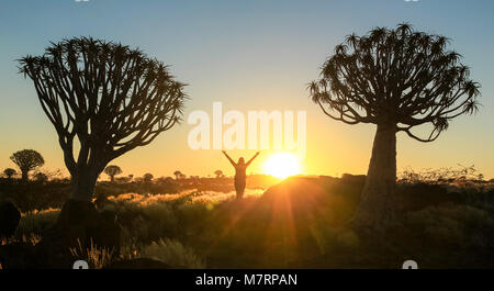 Felice celebra il successo vincendo la donna al tramonto o l'alba euforico in piedi con le braccia sollevate fino sopra la sua testa tra due quiver tree in grassla Foto Stock