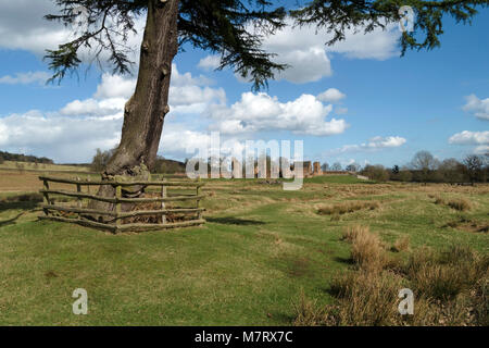 Motivi di Glenfield Lodge Park e rovine di Lady Jane Grays house, Leicestershire, England, Regno Unito Foto Stock