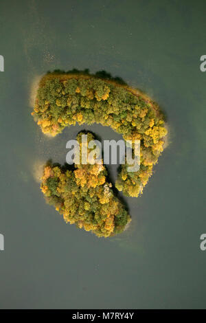 Vista aerea, cromosomi forma Kirchheller Heide lago, isole, foglie di autunno, golderner ottobre Kirchhellen, Bottrop, Ruhr, Renania settentrionale-Vestfalia, Ge Foto Stock