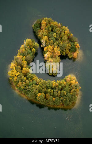Vista aerea, cromosomi forma Kirchheller Heide lago, isole, foglie di autunno, golderner ottobre Kirchhellen, Bottrop, Ruhr, Renania settentrionale-Vestfalia, Ge Foto Stock
