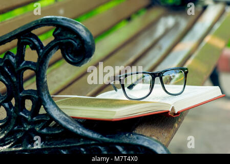 Un libro aperto e bicchieri giacciono sul bordo di una panchina nel parco Foto Stock