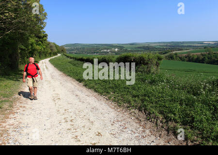 Walker sul South Downs National Park, verso Amberley town, Sussex, England, Regno Unito Foto Stock