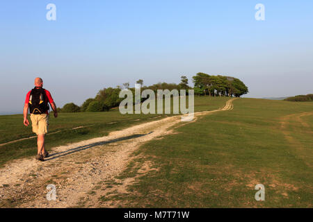 Walker all'ordinanza sondaggio punto Trig, Chanctonbury Ring, South Downs National Park, Sussex, England, Regno Unito Foto Stock