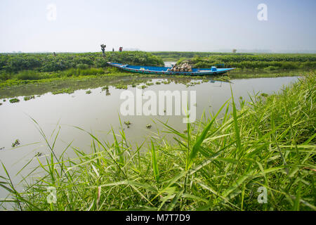Le zucche sono il carico sulla barca a Arial Beel, Munshigonj, Bangladesh. Foto Stock