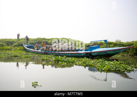 Le zucche sono il carico sulla barca a Arial Beel, Munshigonj, Bangladesh. Foto Stock