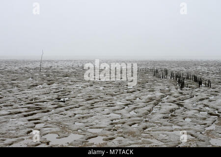Le saline di Bradwell sul mare, Essex. Questa area di conservazione è un sito di particolare interesse scientifico sulla costa del Regno Unito. Vista di bastoni con la bassa marea. Foto Stock