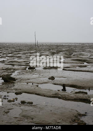 Le saline di Bradwell sul mare, Essex. Questa area di conservazione è un sito di particolare interesse scientifico sulla costa del Regno Unito. Visualizzazione verticale sul giorno di pioggia Foto Stock