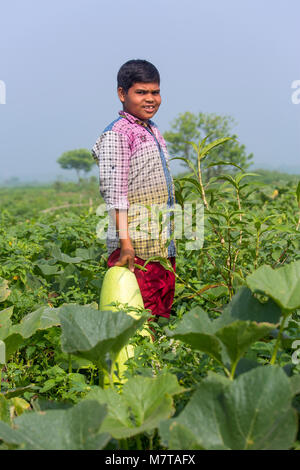 Un uomo all'aperto tenendo una grande dimensione di zucca bottiglia a Arial Beel, Munshigonj, Bangladesh. Foto Stock