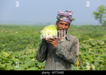 Un uomo all'aperto tenendo una grande dimensione di zucca bottiglia a Arial Beel, Munshigonj, Bangladesh. Foto Stock