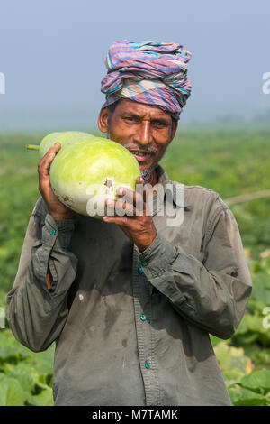 Un uomo all'aperto tenendo una grande dimensione di zucca bottiglia a Arial Beel, Munshigonj, Bangladesh. Foto Stock