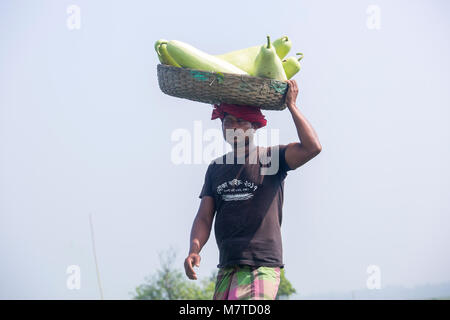 Le Mans sono trasportano grandi dimensioni della bottiglia Gourd sulle loro teste a Arial Beel, Munshigonj, Bangladesh. Foto Stock