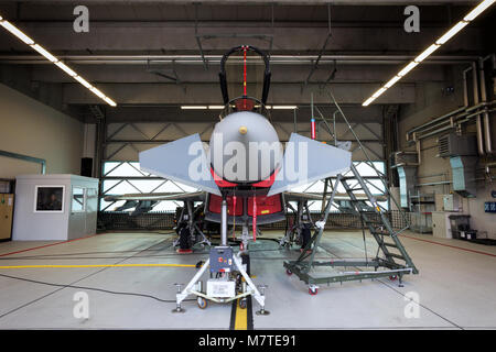 LAAGE, Germania - Agosto 23, 2014: Tedesco Air Force Eurofighter Typhoon jet da combattimento in un hangar durante la Laage airbase open house. Foto Stock