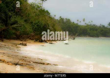 Mangrovie. Lifuka Island. Ha'isole apai. Tonga. La Polinesia Foto Stock