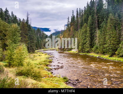 Fiume Lochsa, Clearwater montagne, Lochsa selvatica e Scenic River Corridor, passaggio a Nord Ovest Scenic Byway, Clearwater National Forest, Idaho, Stati Uniti d'America Foto Stock
