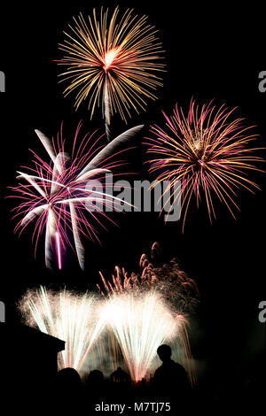 Alcuni coloratissimi fuochi d'artificio con silhouette in primo piano Foto Stock
