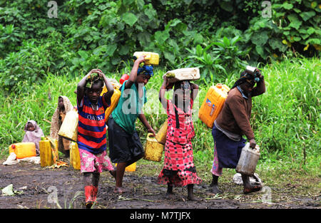 Gli abitanti di un villaggio congolese riempire il loro approvvigionamento di acqua da questo stagno fangoso. L unica buona fonte di acqua che hanno. Foto Stock