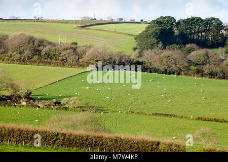 Sands Road, Slapton Ley. 13 marzo 2018. Una cresta di alta pressione portato splendido sole primaverile a ovest paese oggi. Il sole e cieli blu in Slapton Ley in South Devon. Credito: James jagger/Alamy Live News Foto Stock