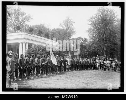 Diavoli blu (CHASSEURS alpina) LCCN2016869191 Foto Stock