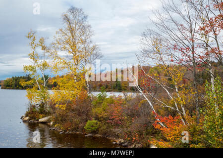 Tupper lago nella caduta delle foglie, Superiore dello Stato di New York, Stati Uniti d'America. Foto Stock